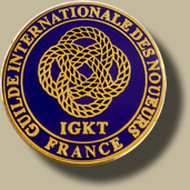 Pin's GKT France