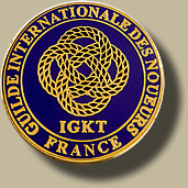 Pin's GKT France